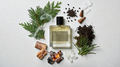 Rook Perfumes Forest Eau de Parfum 50ml bottle with a pine and cedar woodland scent against a natural backdrop.